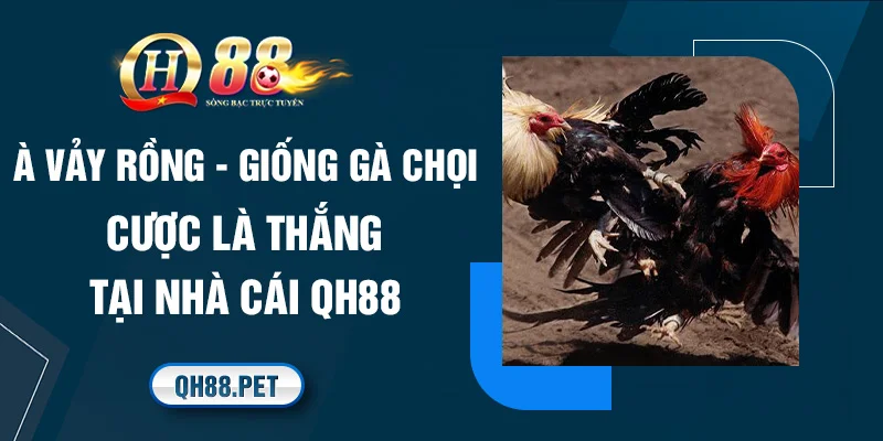 gà vảy rồng qh88